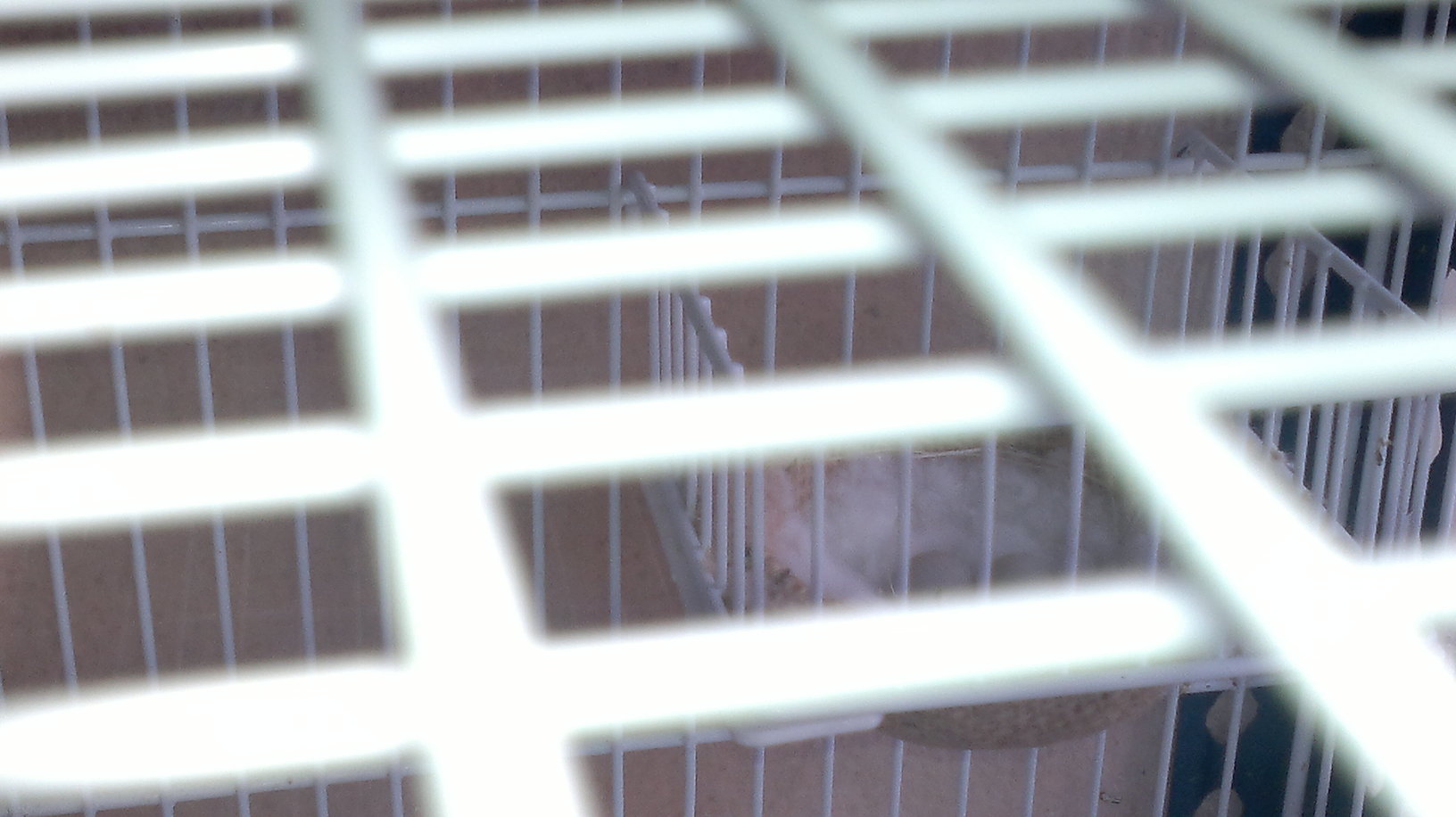 07062011076.jpg