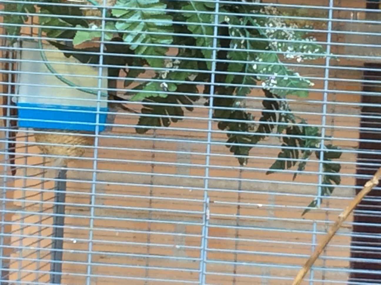 image.jpeg