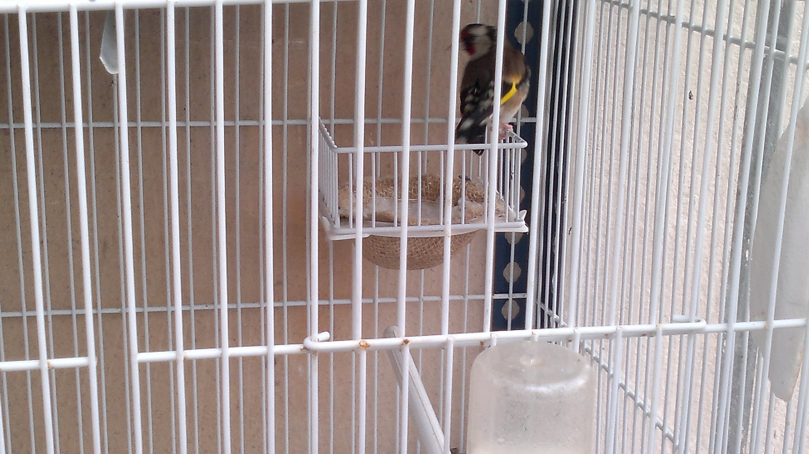 07062011078.jpg
