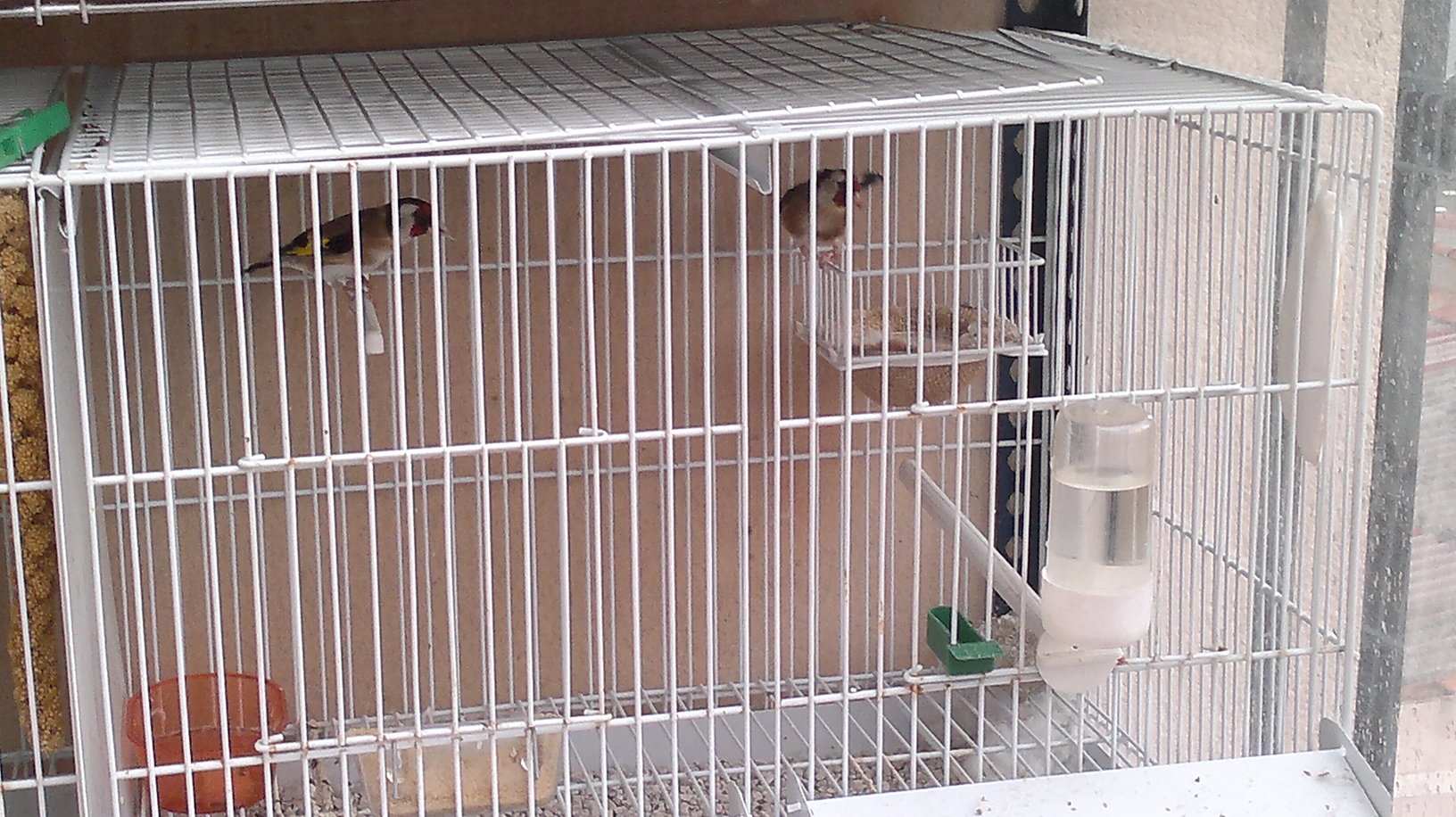 07062011079.jpg