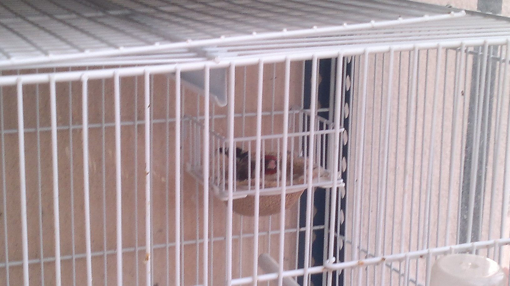 09062011080.jpg