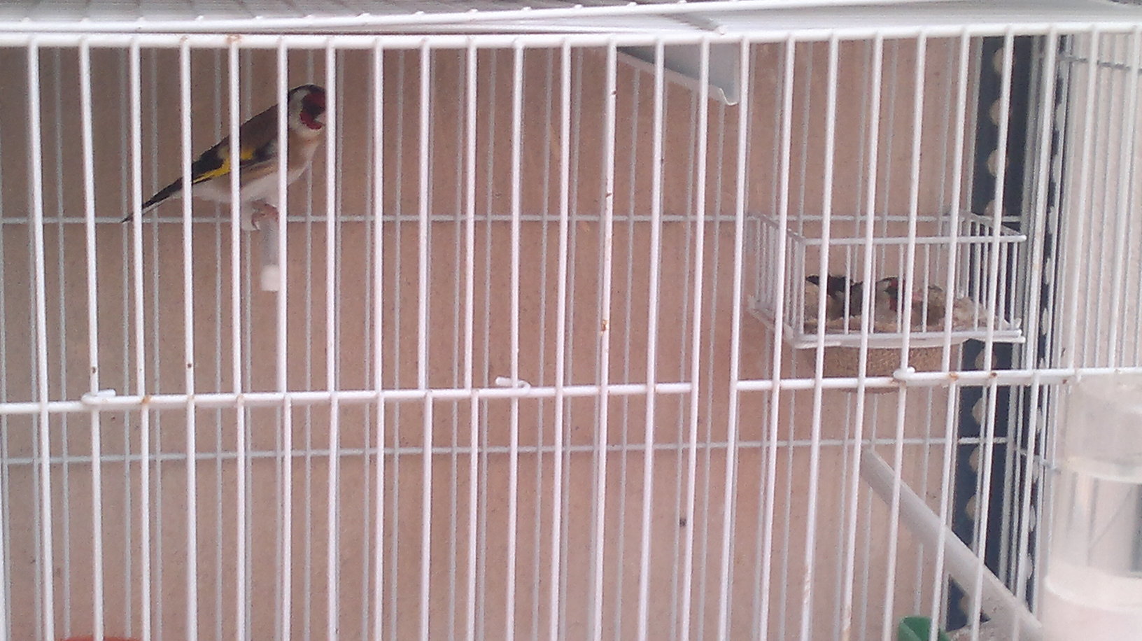 09062011081.jpg