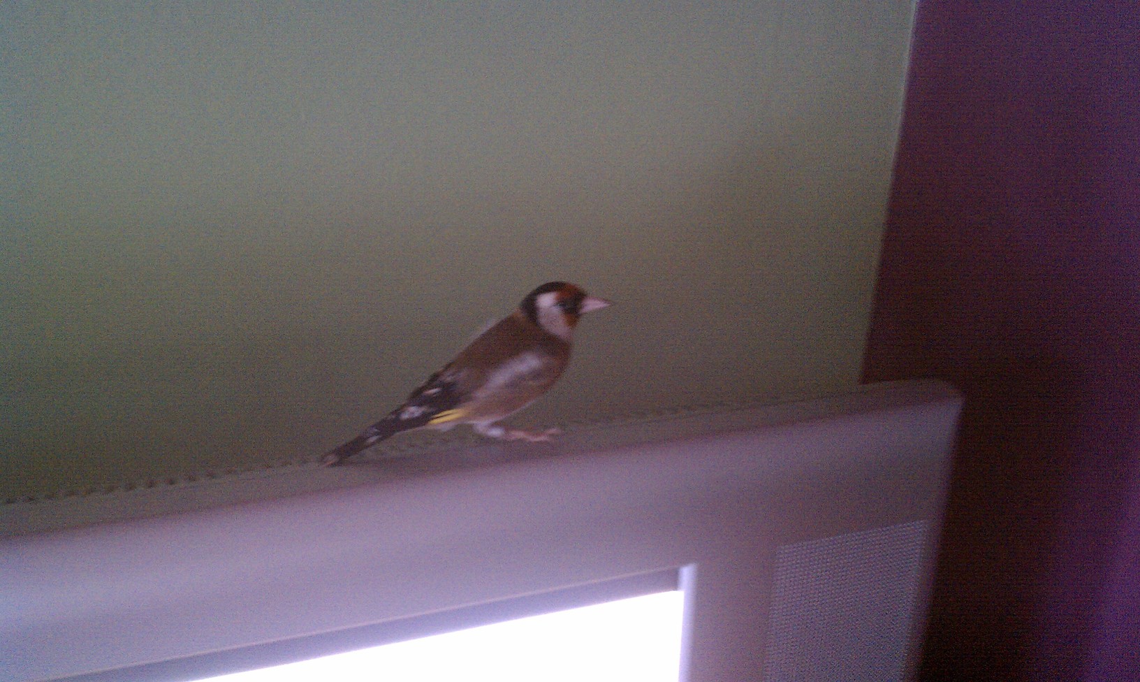 IMAG0100.jpg