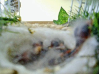 100E1603.JPG