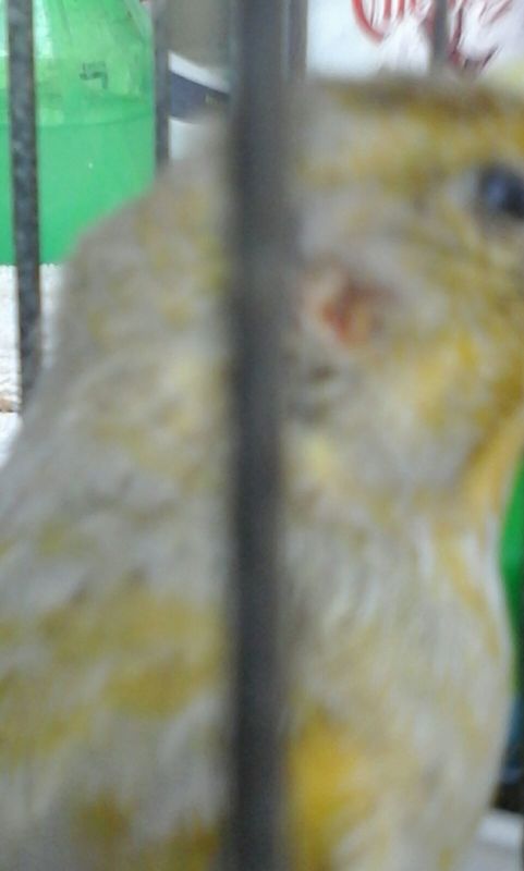 IMG-20160817-WA0002.jpg