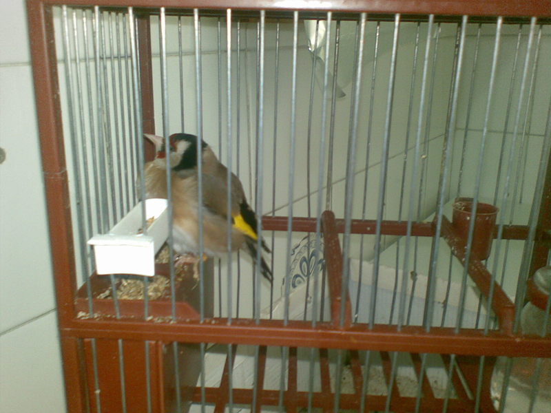 07042011442.jpg