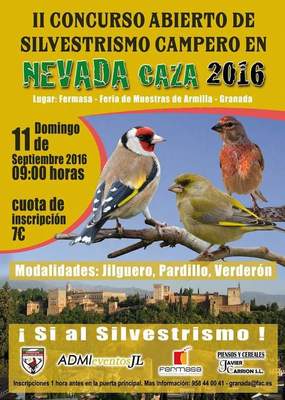 11 Septiembre Granada.jpg