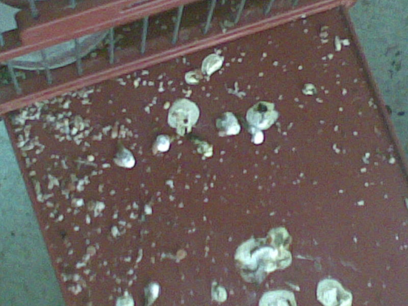 07042011434.jpg