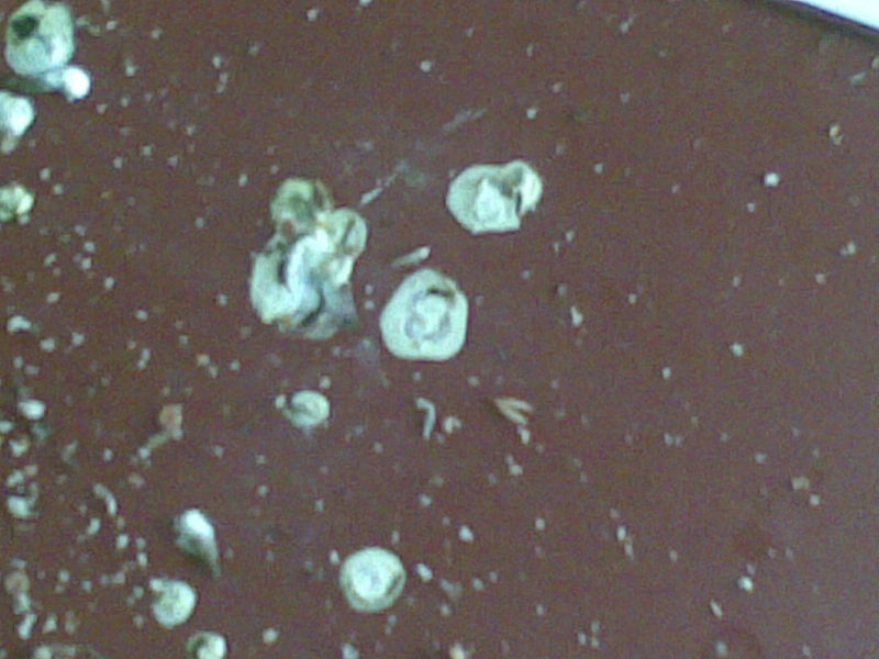 07042011435.jpg