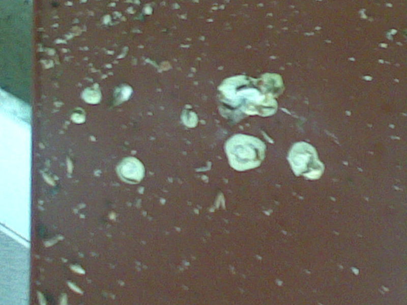 07042011439.jpg