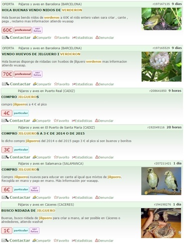 ventas de pajaros ilegales en internet 02.jpg