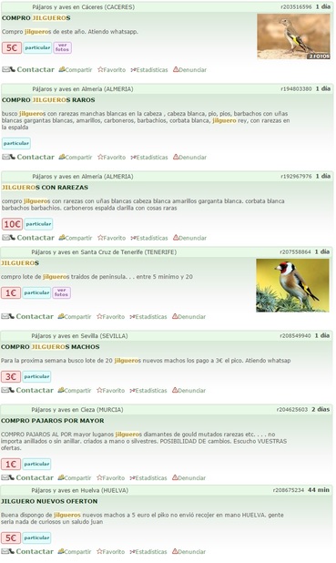 ventas de pajaros ilegales en internet 01.jpg
