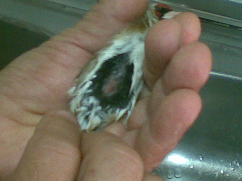 07042011446.jpg
