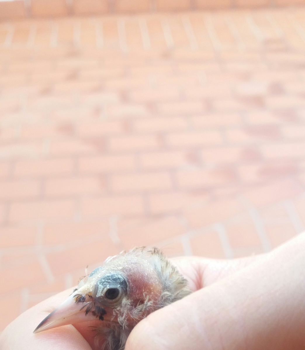 20160904_202032-1.jpg