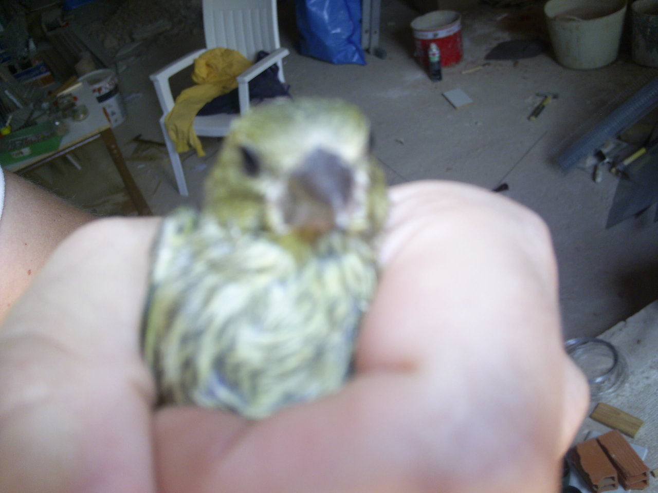 PIC_0004.JPG
