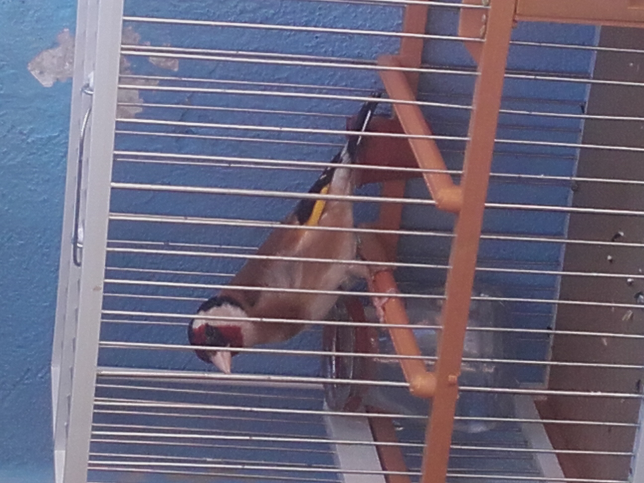 20160822_132117.jpg