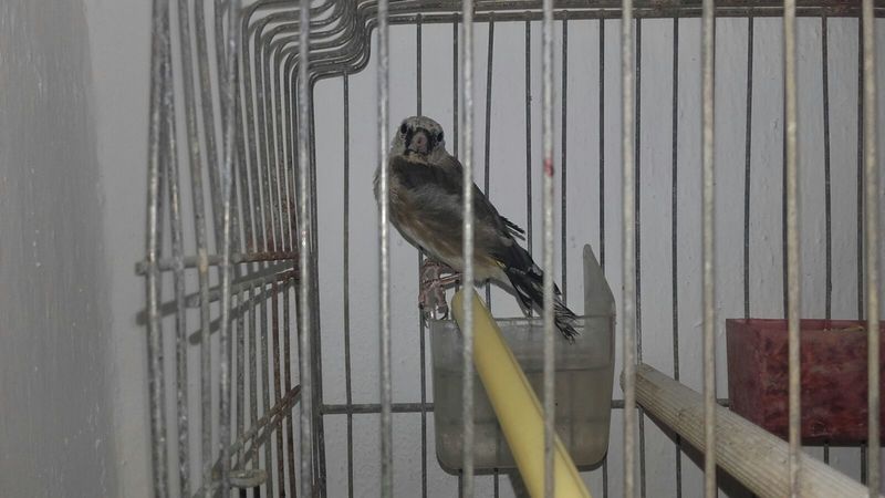 IMG-20160915-WA0005.jpg