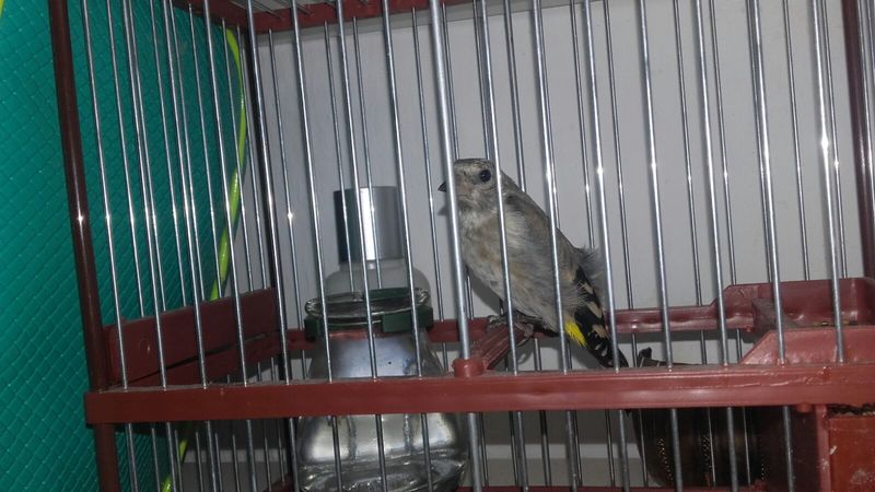 IMG-20160915-WA0008.jpg