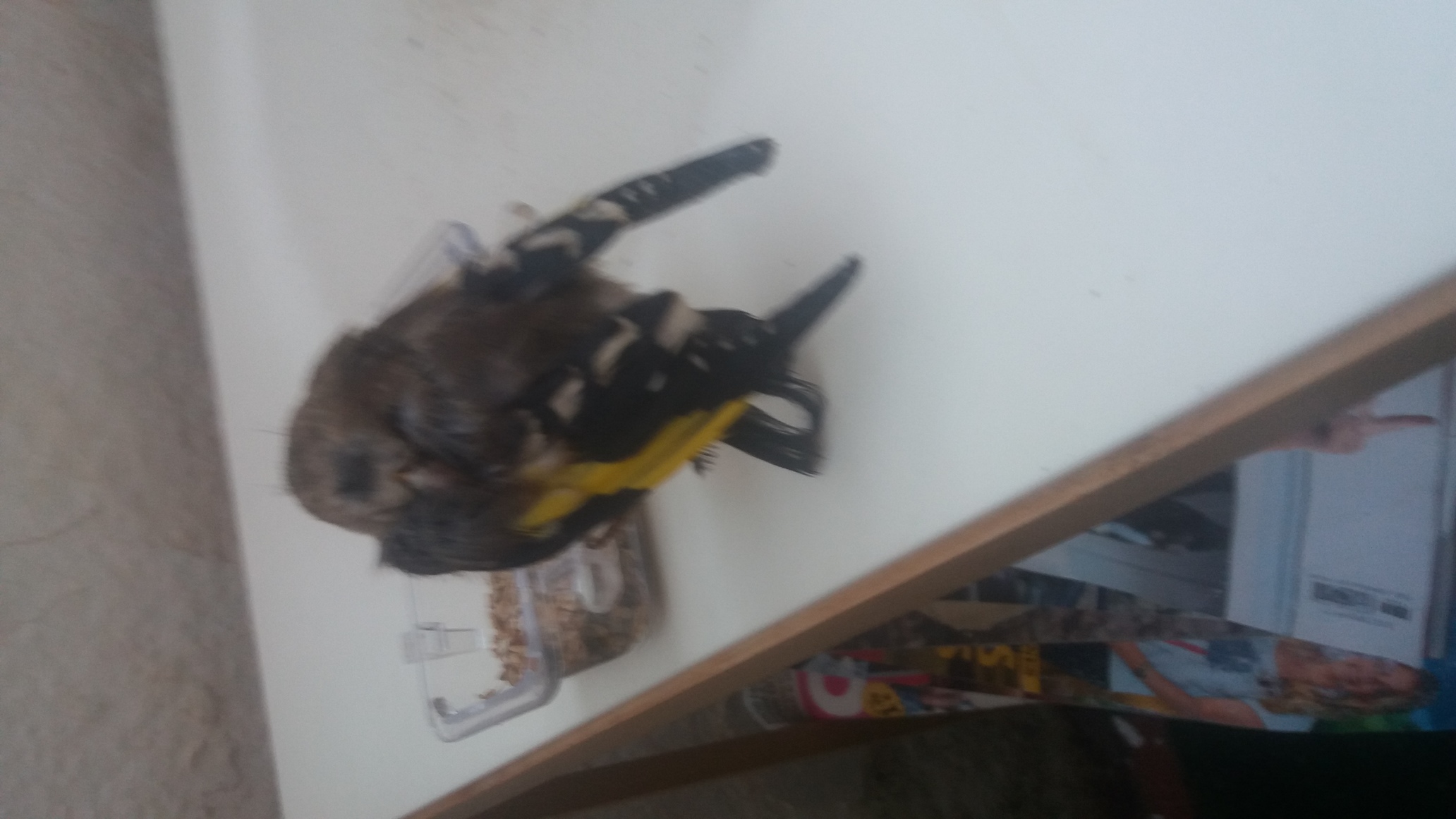 20160918_193734.jpg