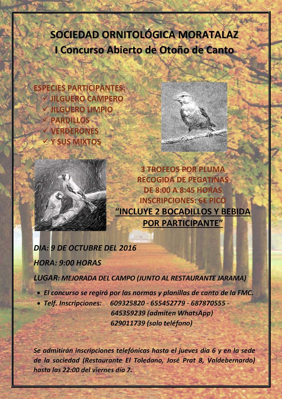 cartel concurso-2.jpg