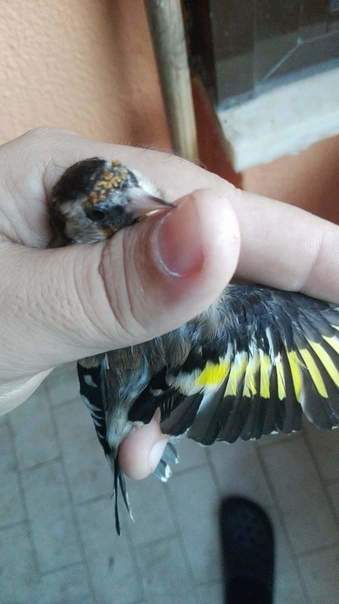 received_1393288867355885.jpeg