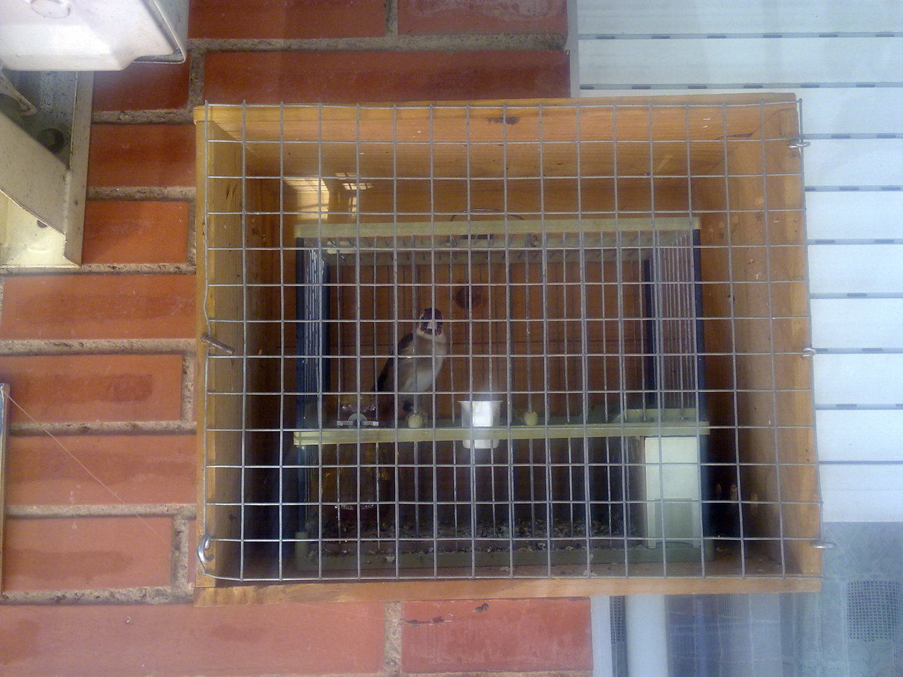 12062011034.jpg