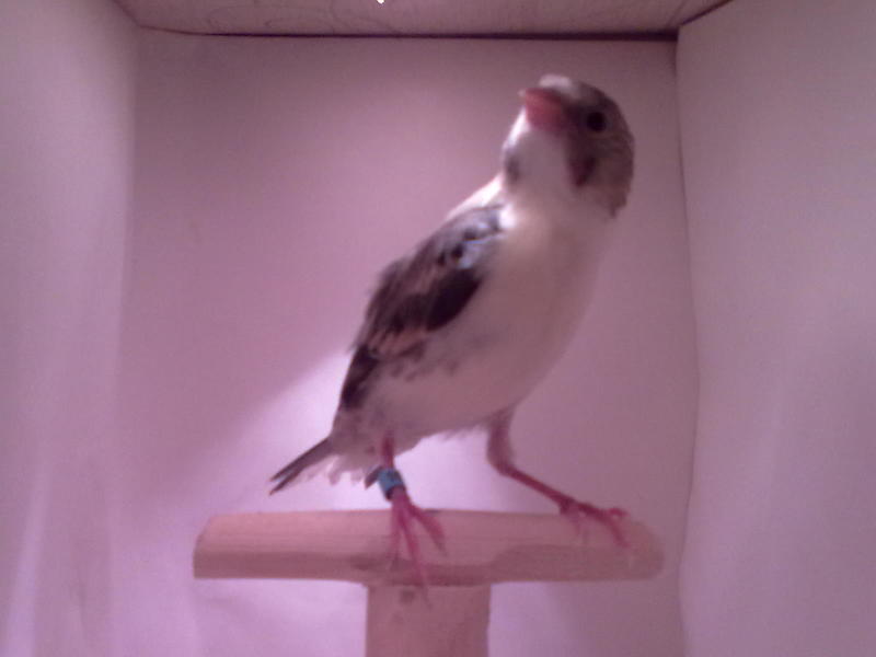 13062011509.jpg