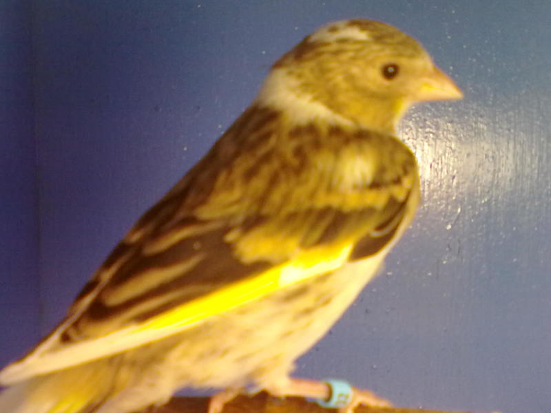 15062011594.jpg