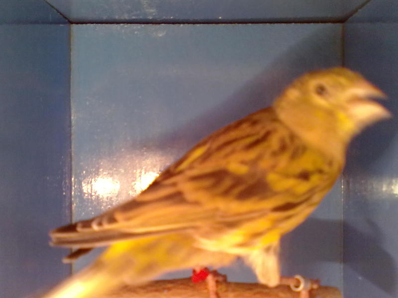 14062011541.jpg
