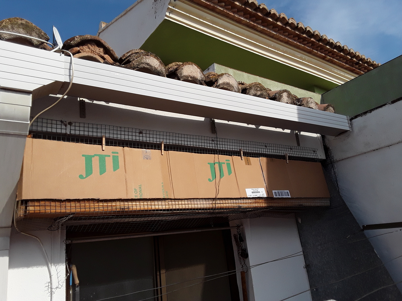 jilge1.rotada.rotada.rotada.jpeg