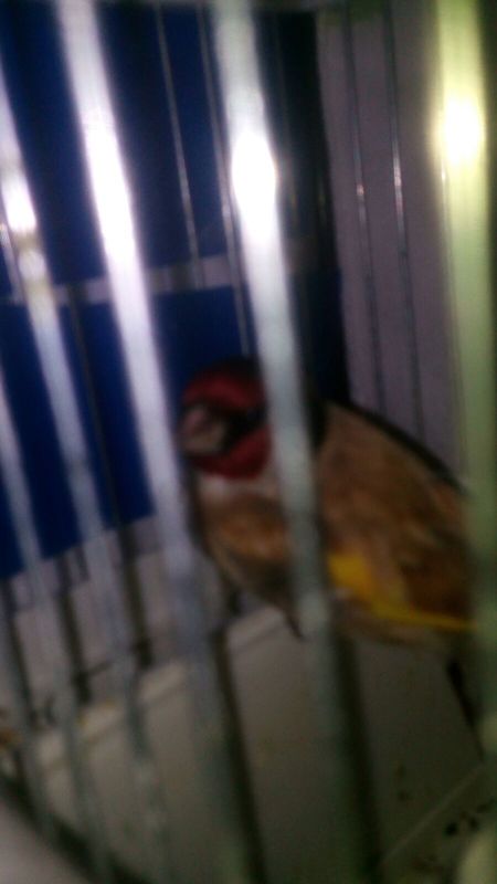 IMG-20170214-WA0006.jpg
