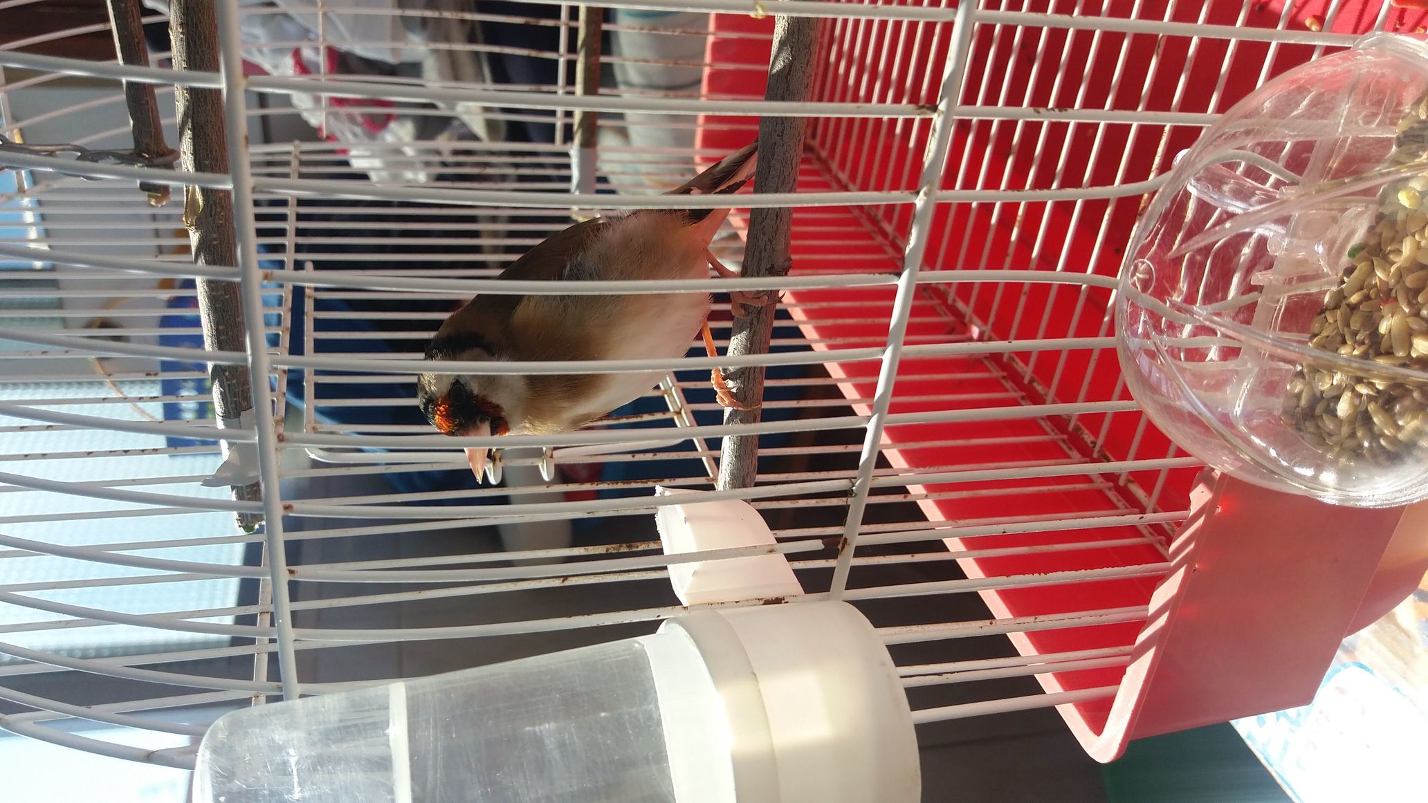 IMG-20170320-WA0010.jpeg