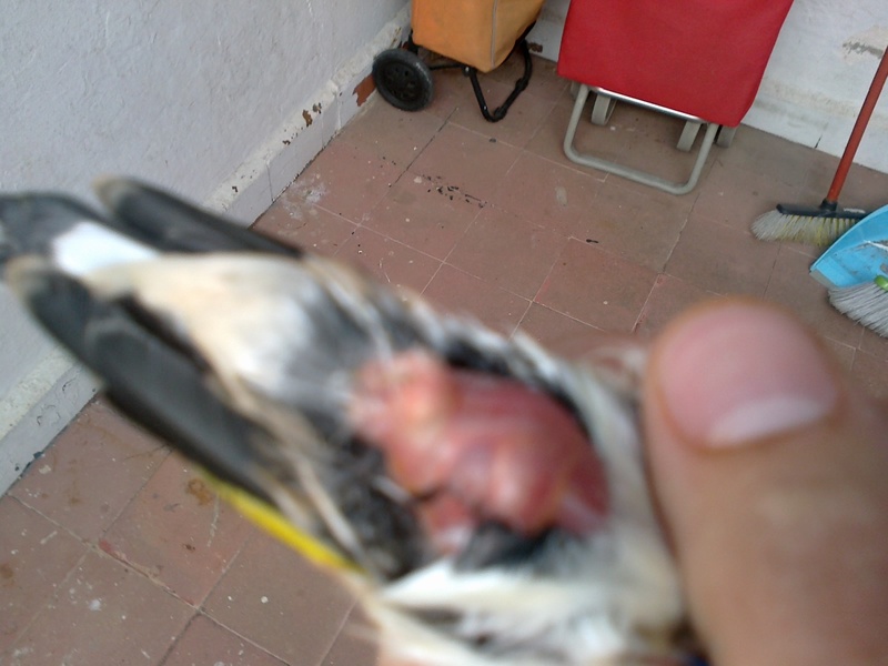 Imagen 002.jpg