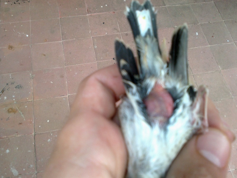 Imagen 001.jpg