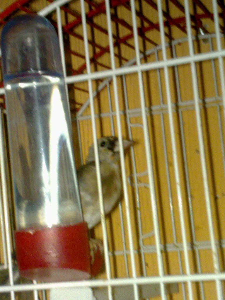 04102010373.jpg
