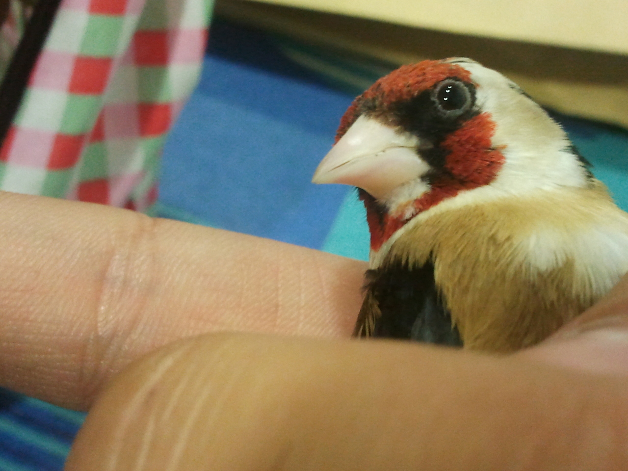 2011-06-21 21.32.49.jpg