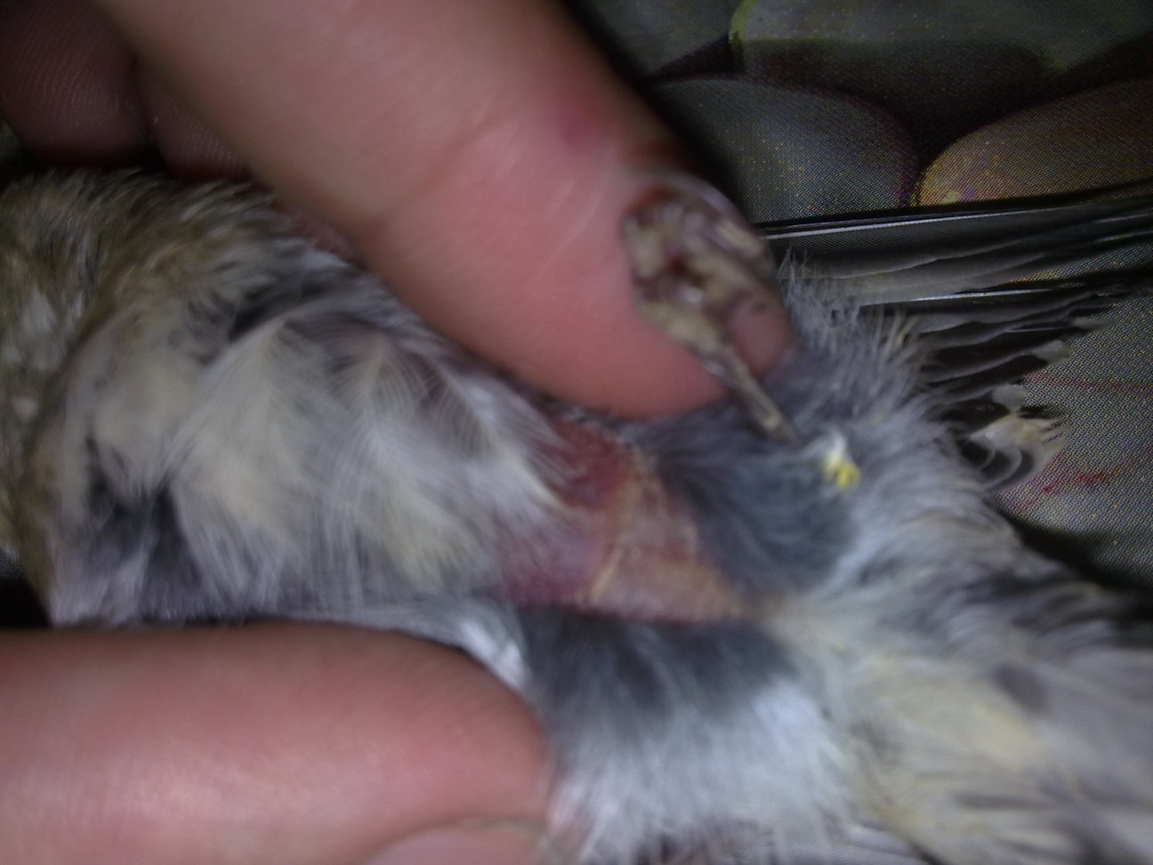 22062011286.jpg