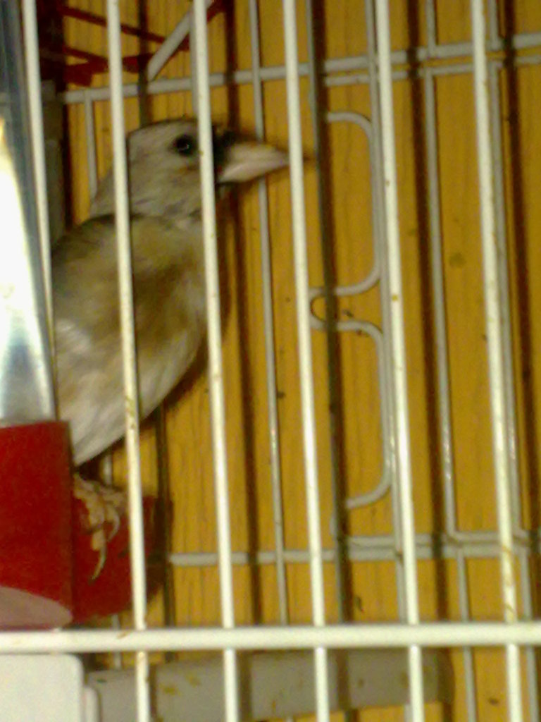 04102010374.jpg