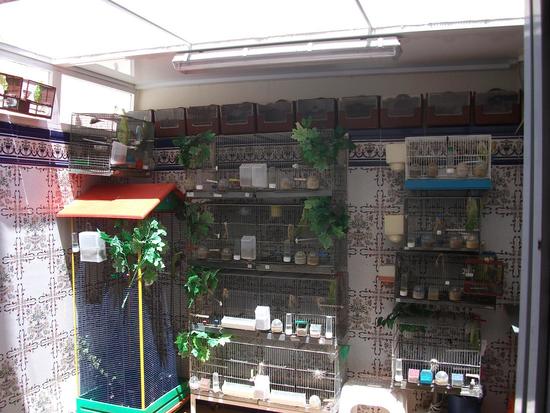 aviariocontra.JPG