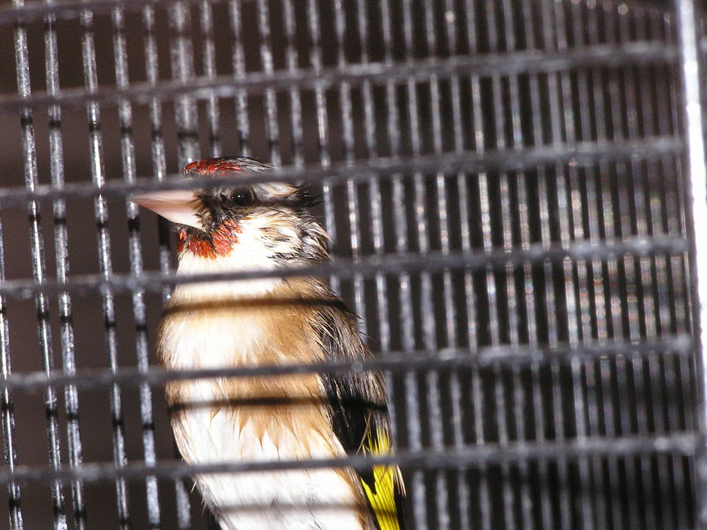 P1010305.JPG
