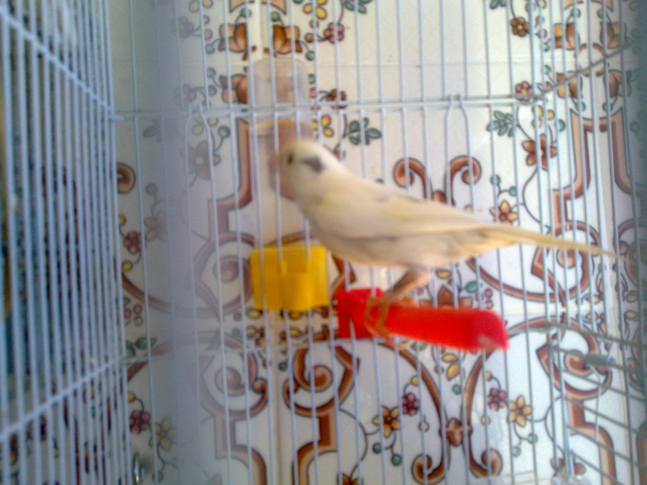 29062011044.jpg
