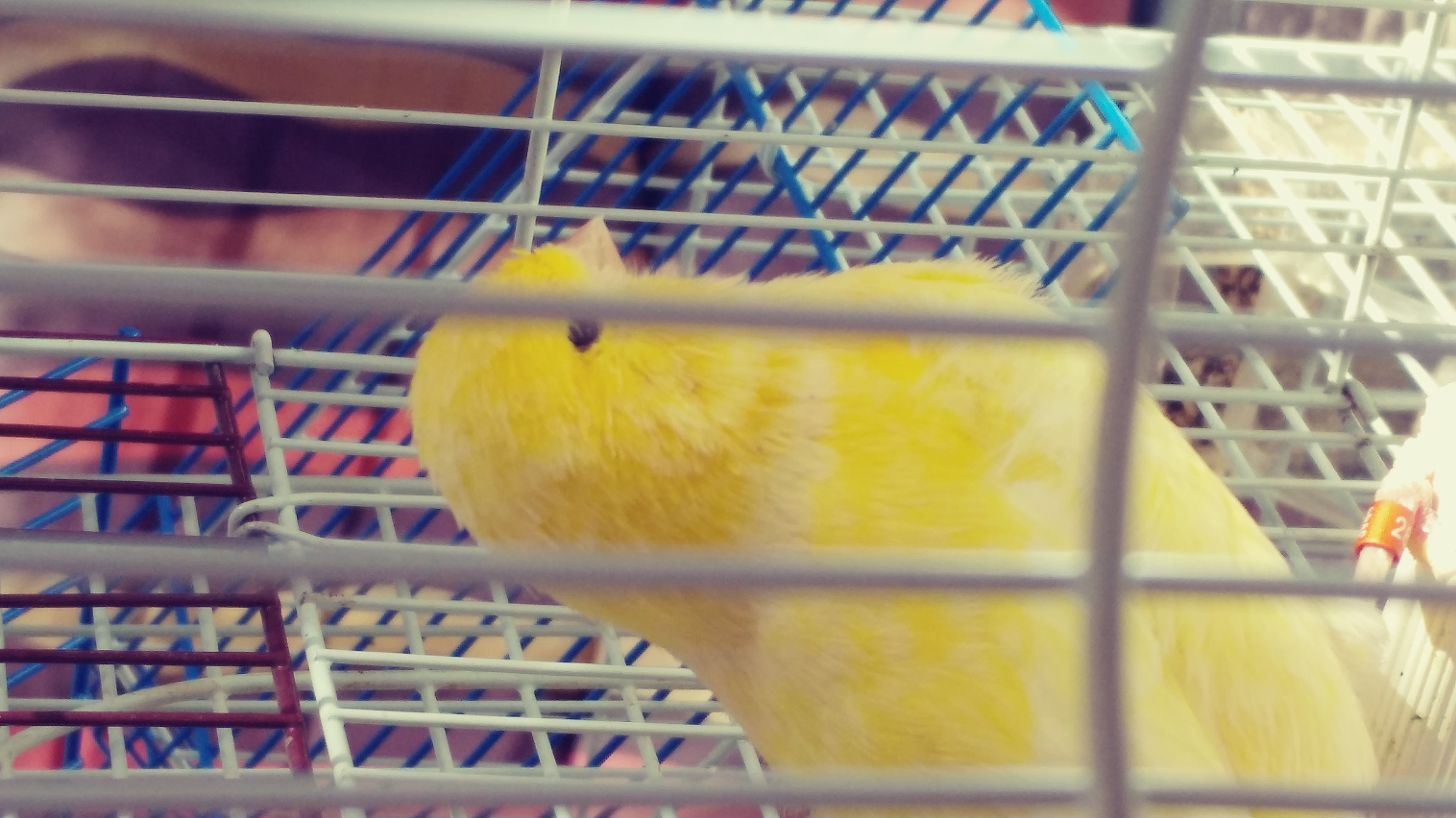 20180403_163902_Film1.jpg