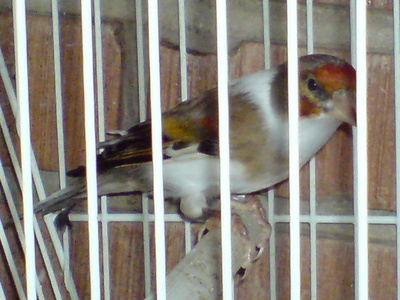 E:\Documents and Settings\Administrador.ILLUSION_V2\Escritorio\dsc00455uf.jpg