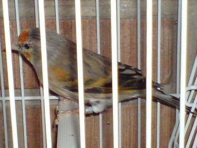 E:\Documents and Settings\Administrador.ILLUSION_V2\Escritorio\dsc00457a.jpg