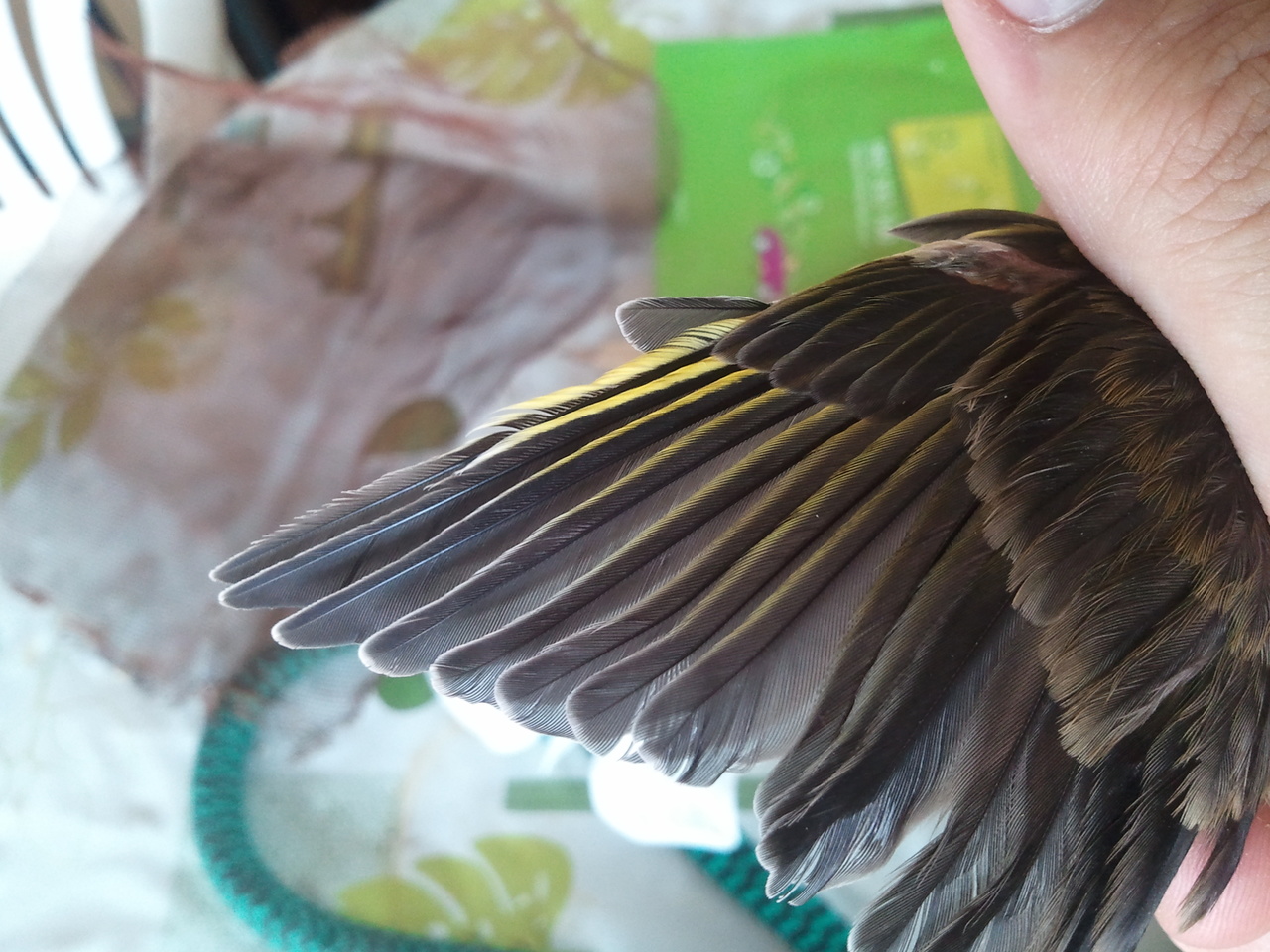 2011-07-12 14.44.54.jpg