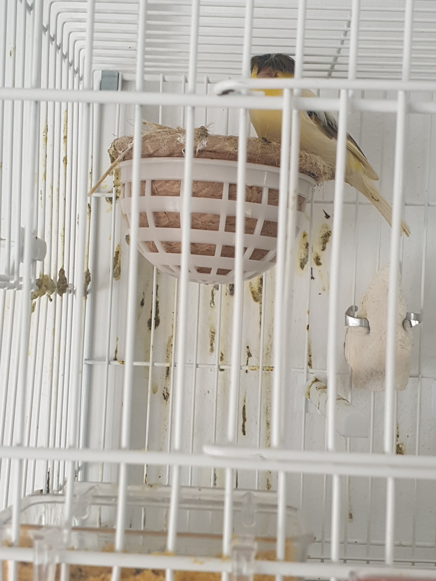 20190404_152446-min.jpg
