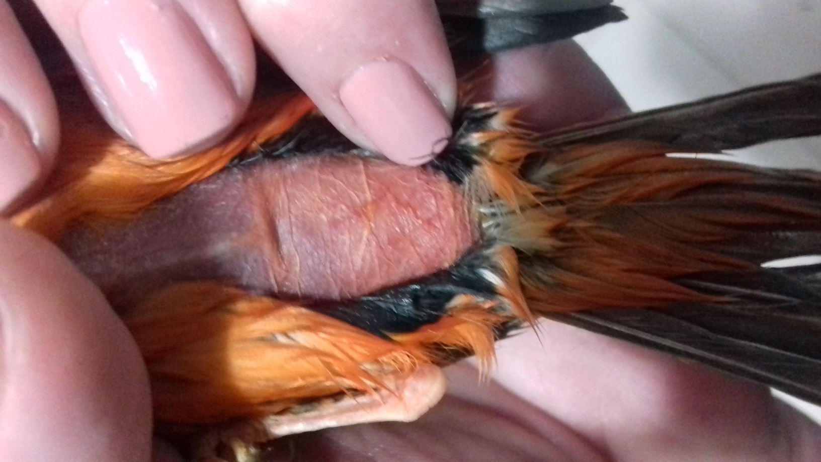 20190406_133838.jpg