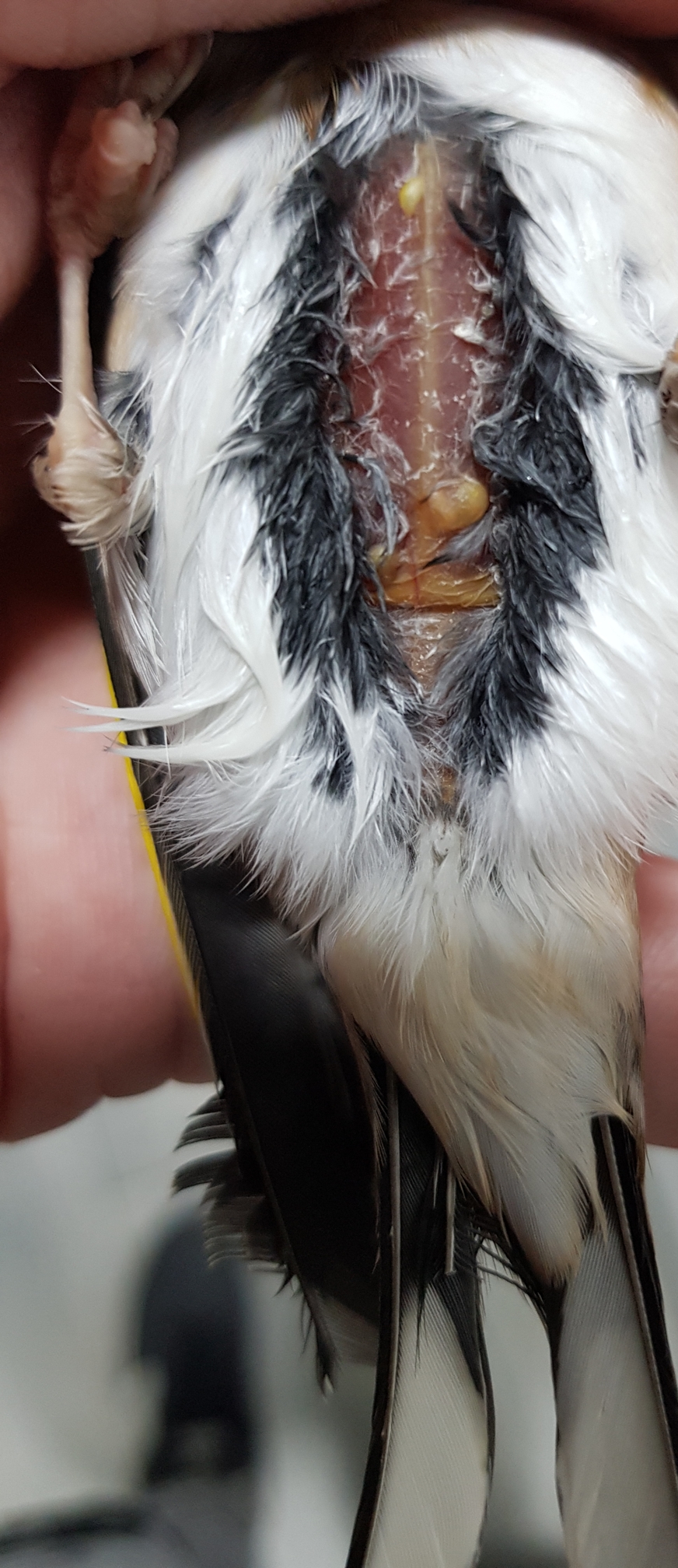20190503_214307.jpg