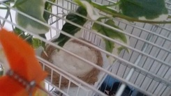 20190511_182731.jpg