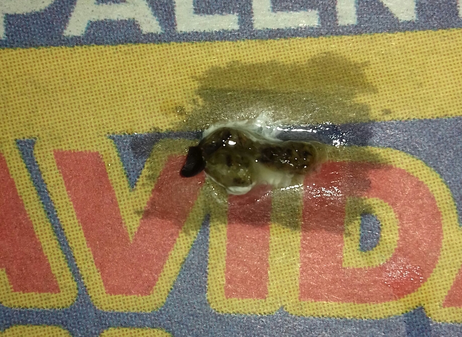 20190610_155925-1.jpg